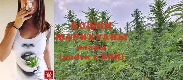 мдпв Каменногорск