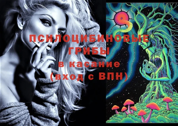 мдпв Каменногорск
