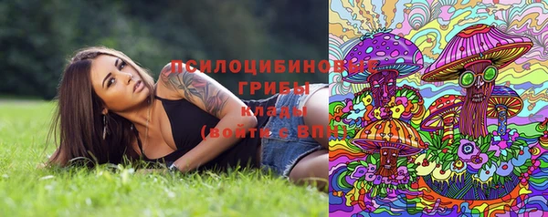 дмт Каменка