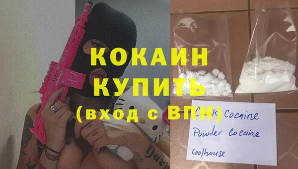 шишки Ладушкин