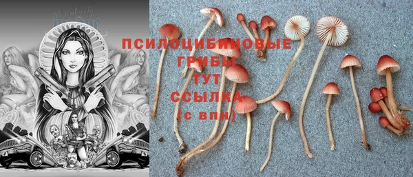 круглые Инта